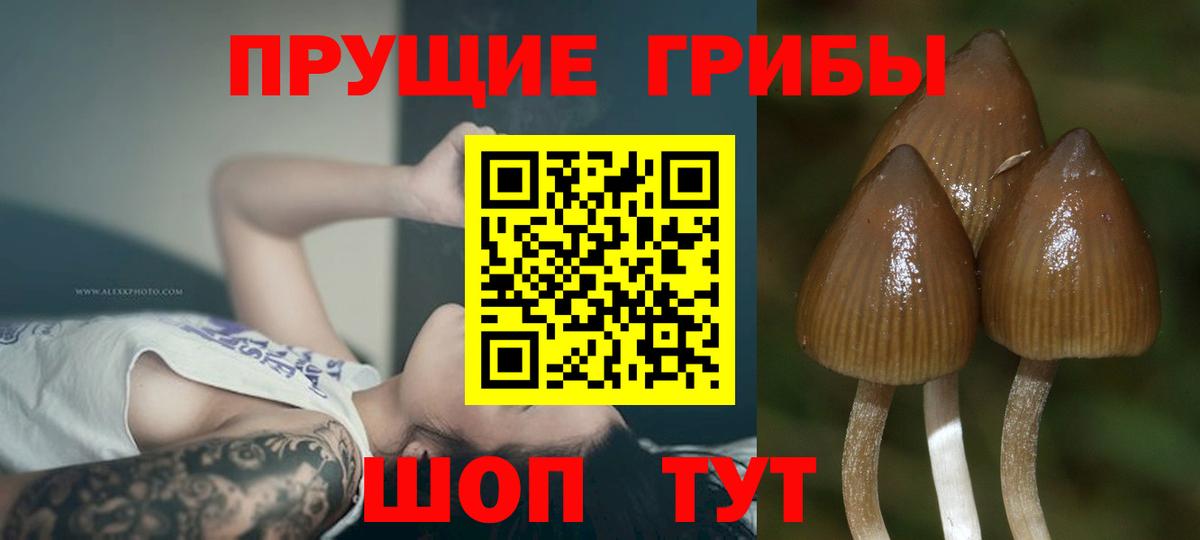Галлюциногенные грибы прущие грибы  как найти закладки  Бахчисарай  Вход с VPN 